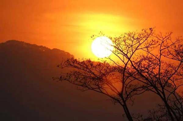 從生物學角度認識病毒,掌握正確防疫姿勢